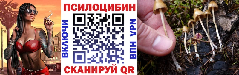 Галлюциногенные грибы Psilocybe  что такое наркотик  Тетюши 